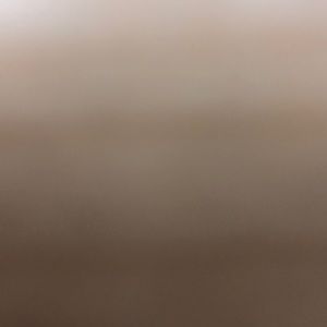 Meet your Posher, Riley